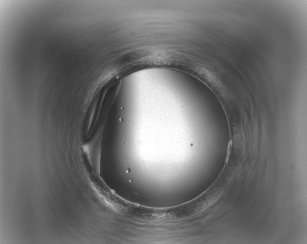 X0000065240493200602211217