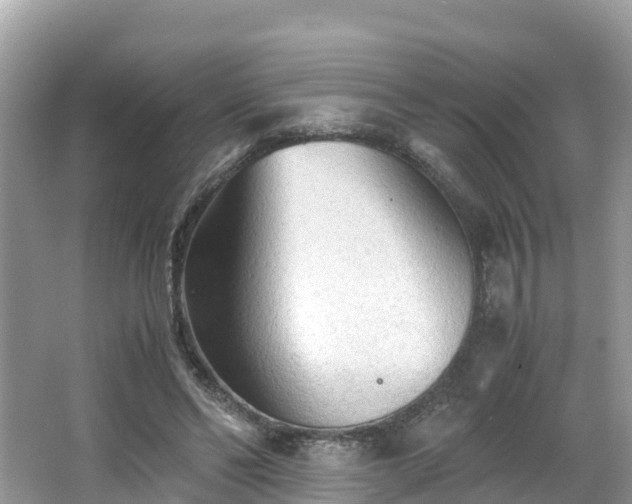 X0000065240494200602211217