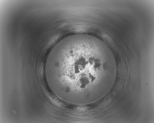 X0000065240495200602211217