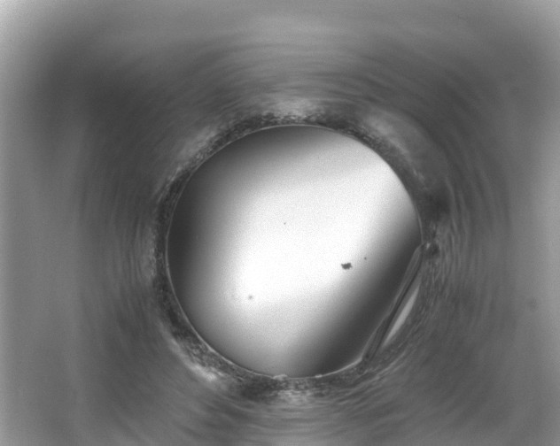 X0000065240496200602211217