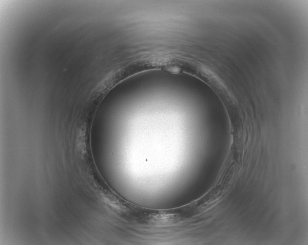 X0000065240497200602211217