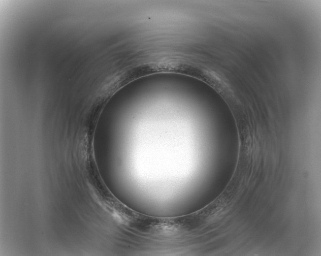 X0000065240498200602211217