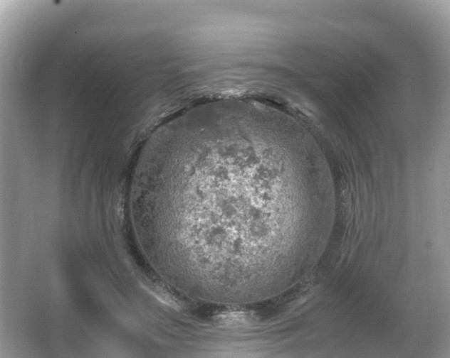 X0000065240499200602211217