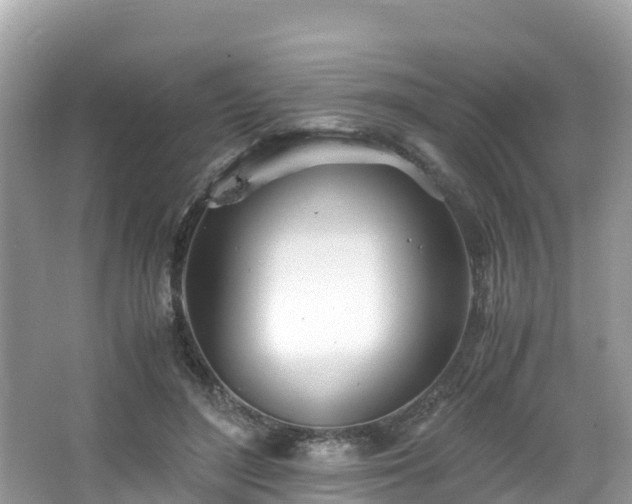 X0000065240500200602211217