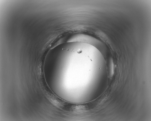 X0000065240501200602211217