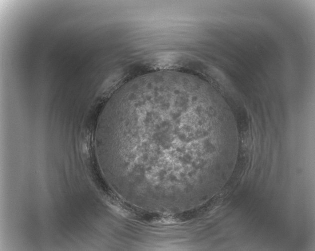 X0000065240503200602211217