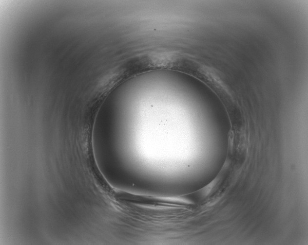 X0000065240505200602211217