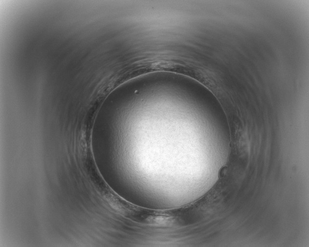 X0000065240506200602211217