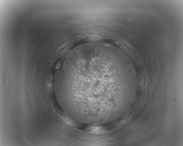 X0000065240507200602211217