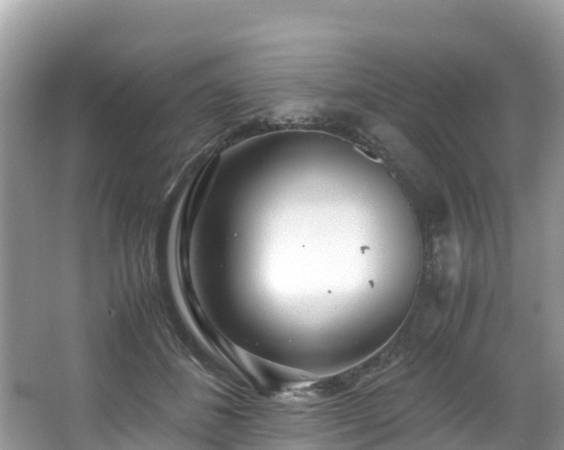 X0000065240508200602211217