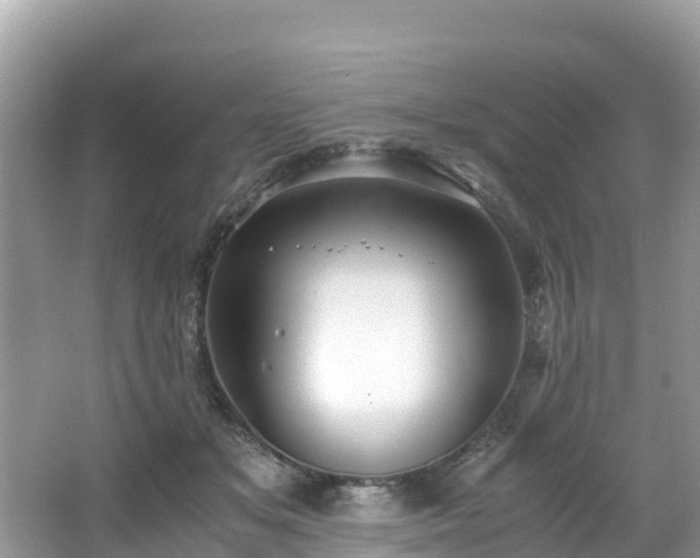 X0000065240509200602211217