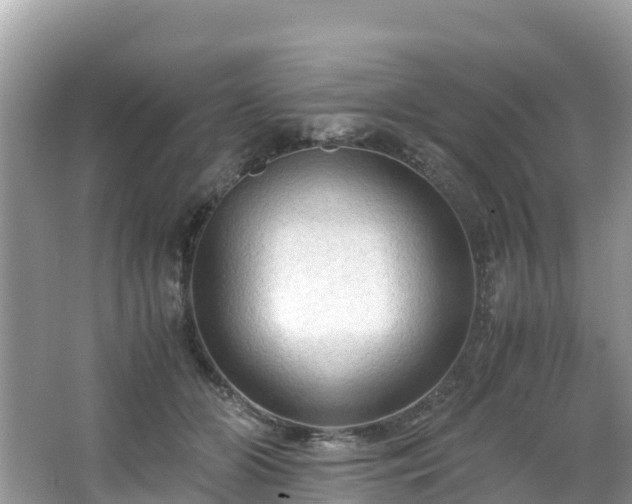 X0000065240510200602211216