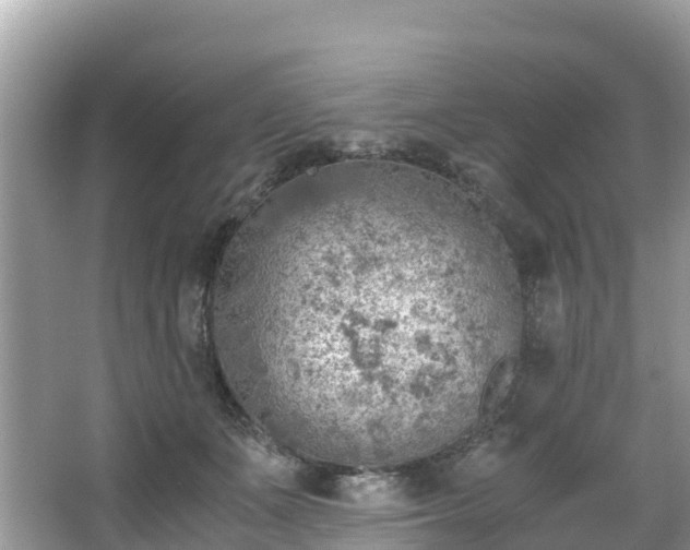 X0000065240511200602211216