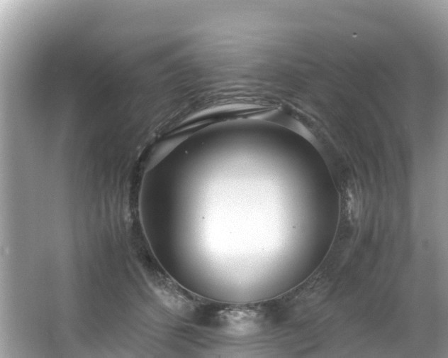 X0000065240512200602211216