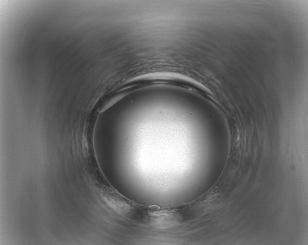 X0000065240516200602211216