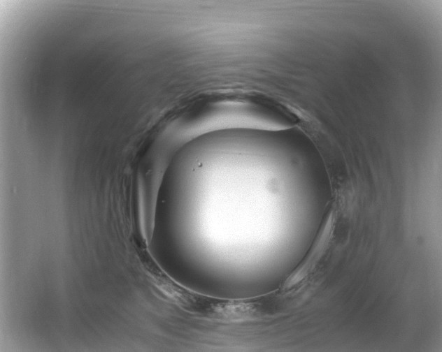 X0000065240517200602211216