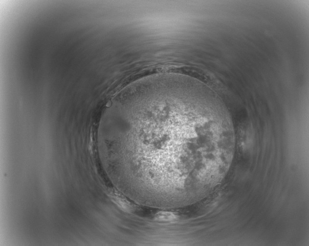 X0000065240519200602211216