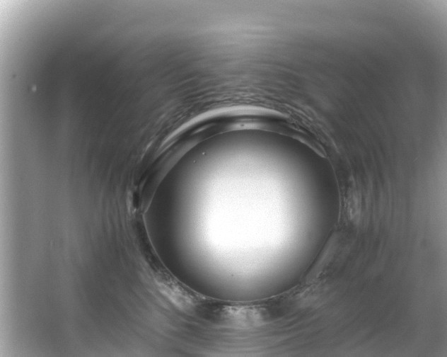 X0000065240520200602211216