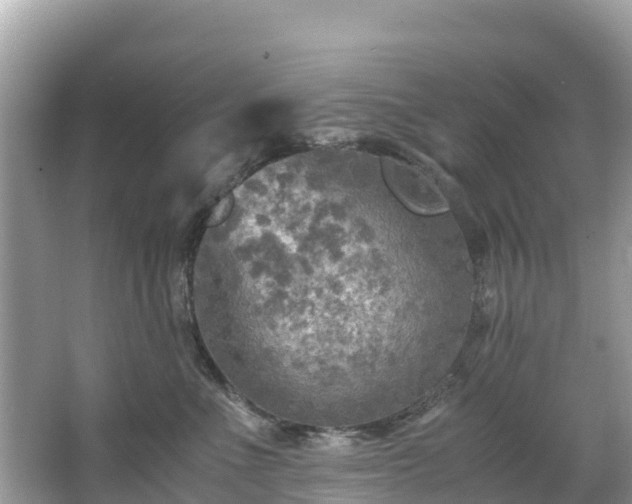 X0000065240523200602211216