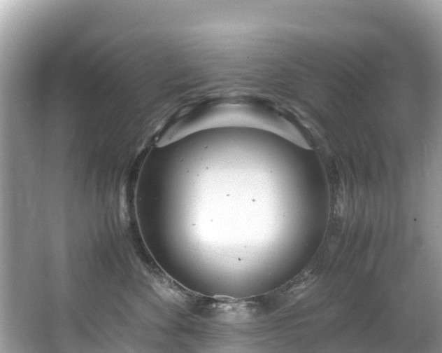 X0000065240524200602211216