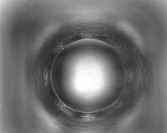 X0000065240525200602211216