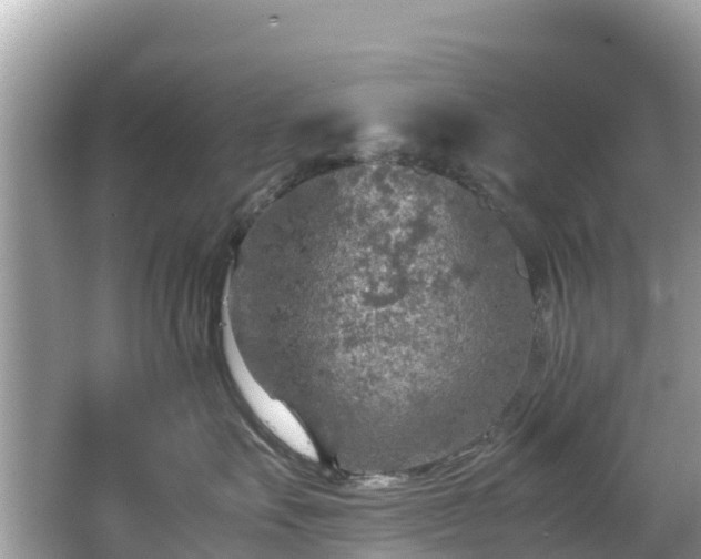 X0000065240527200602211216