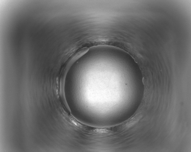 X0000065240528200602211216