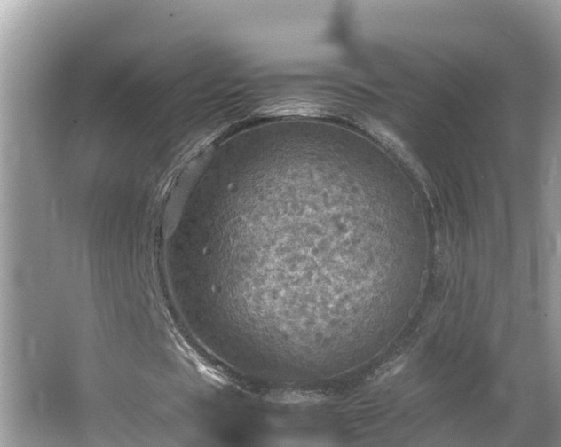 X0000065240529200602211215