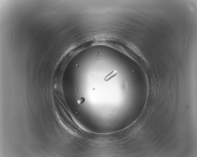 X0000065240530200602211215