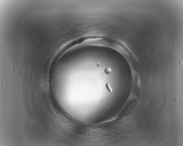 X0000065240531200602211215