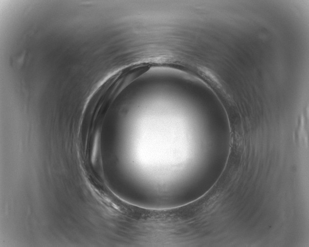 X0000065240532200602211215