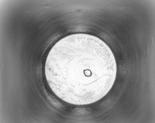 X0000065240534200602211215