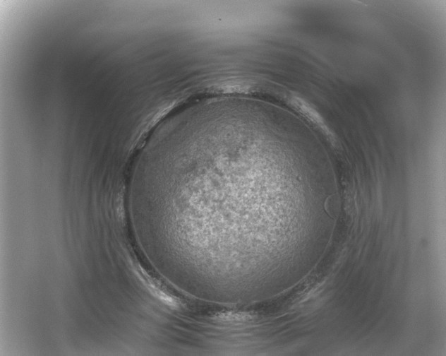 X0000065240537200602211215