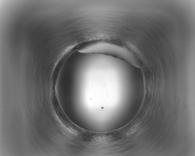 X0000065240540200602211215