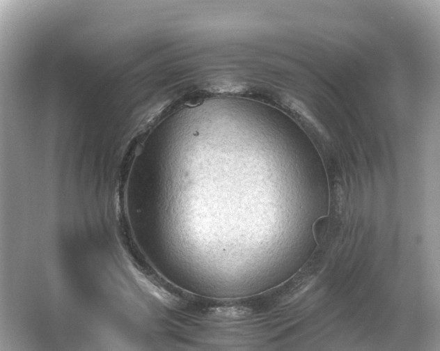 X0000065240541200602211216