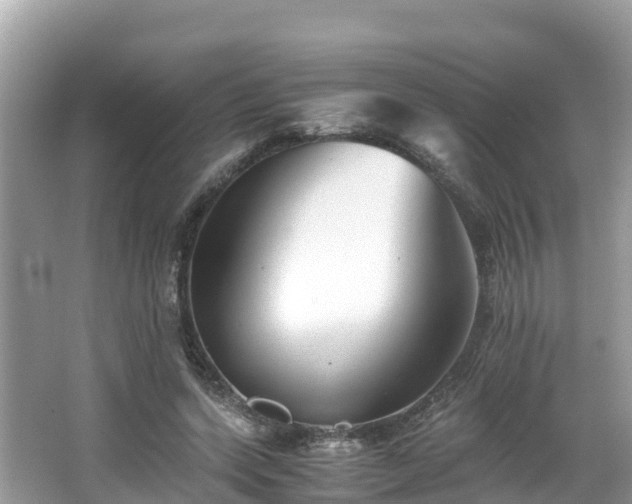 X0000065240543200602211216