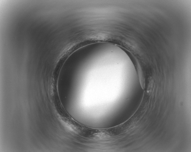 X0000065240544200602211216