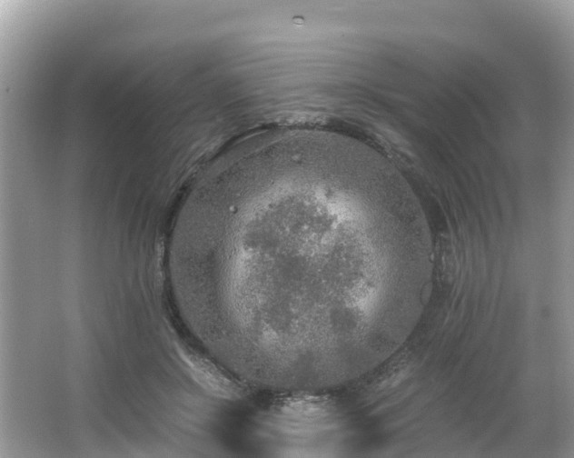 X0000065240550200602211216