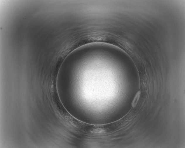 X0000065240551200602211216