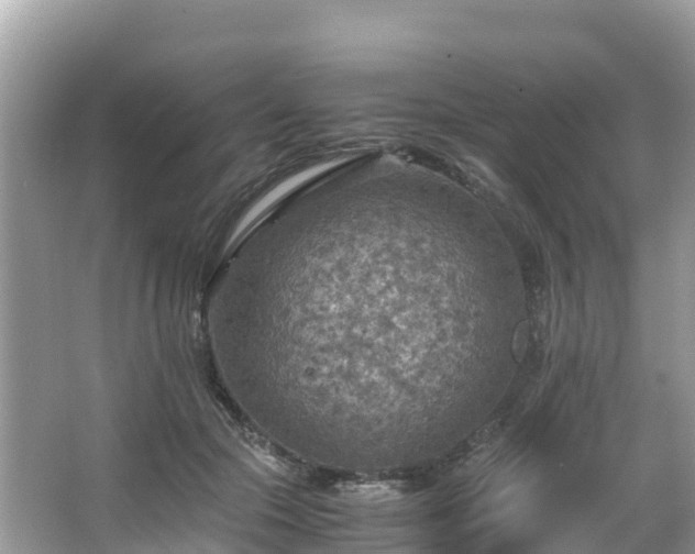 X0000065240553200602211216