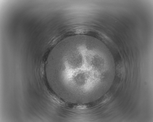 X0000065240554200602211216