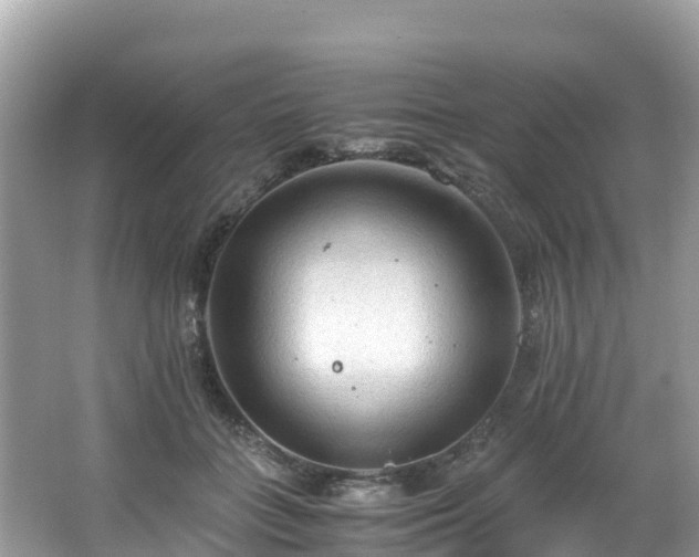 X0000065240555200602211216