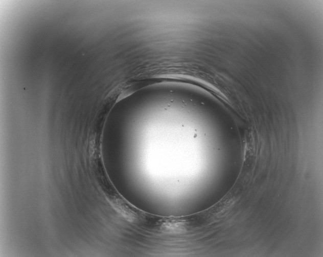 X0000065240560200602211216