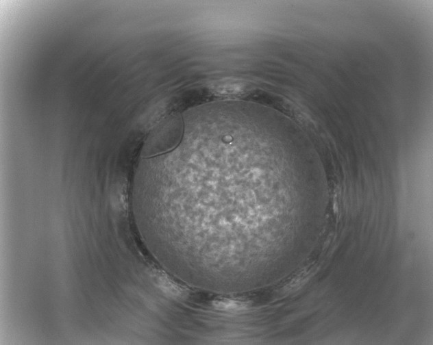 X0000065240561200602211216