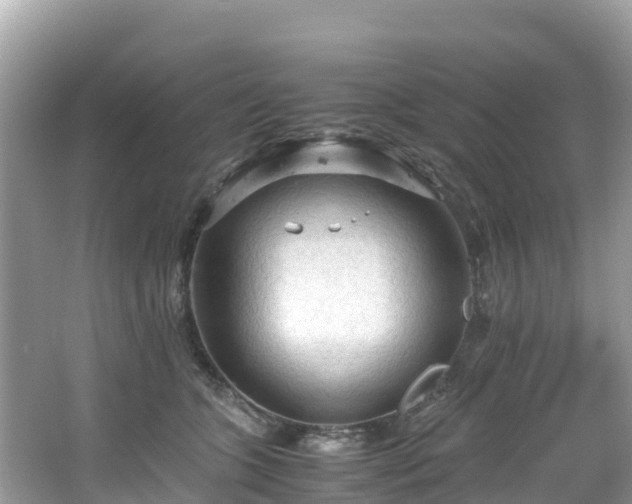 X0000065240563200602211216