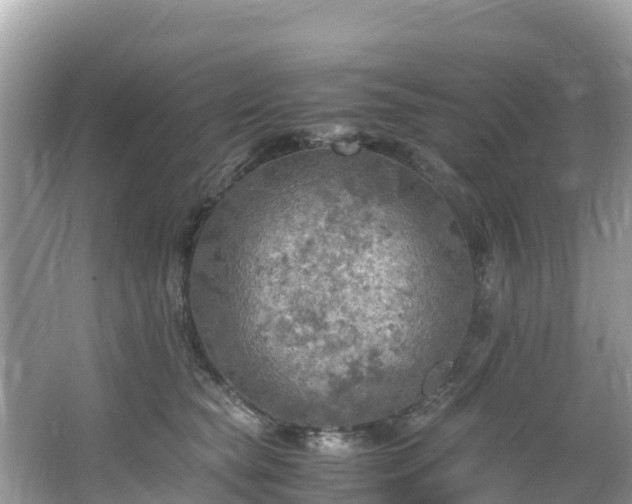 X0000065240565200602211216