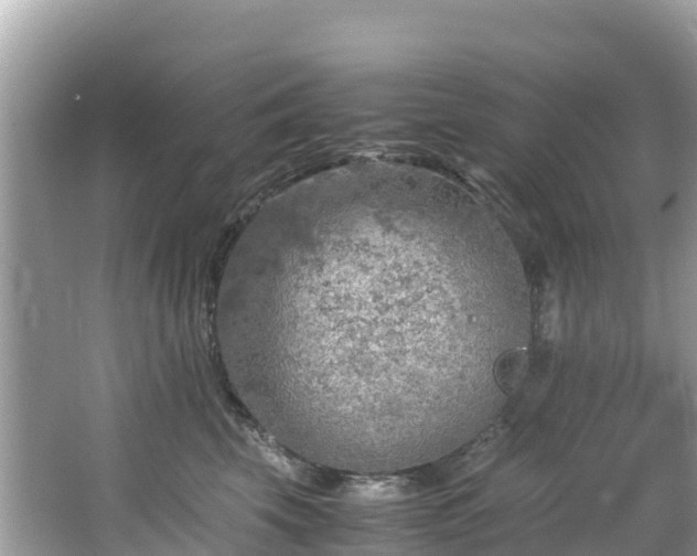 X0000065240569200602211216