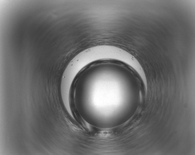 X0000065240570200602211216