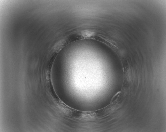 X0000065240571200602211216