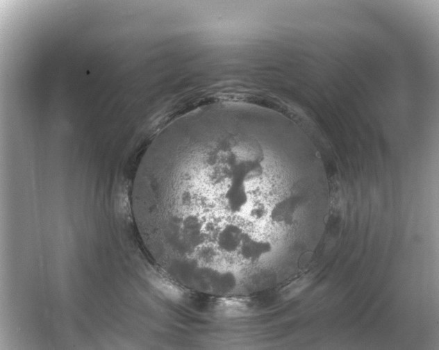 X0000065240573200602211216